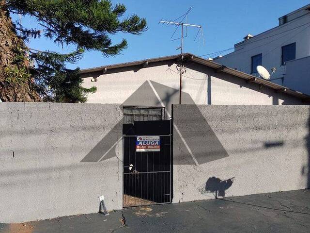 Locação em Vila Bernardes - Arapongas