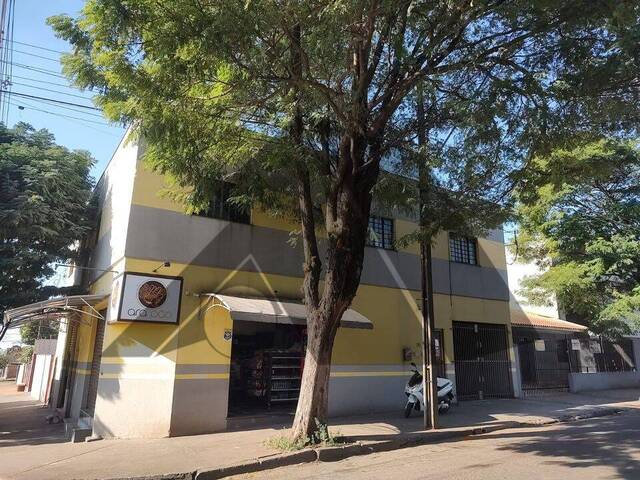 #382 - Apartamento para Locação em Arapongas - PR - 1