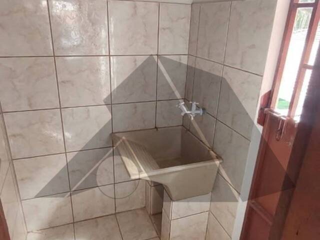 Apartamento para Locação em Arapongas - 5