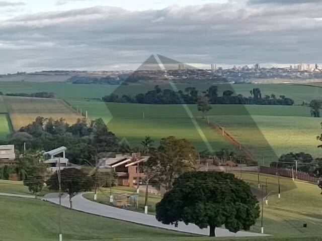 #509 - Terreno para Venda em Arapongas - PR - 2