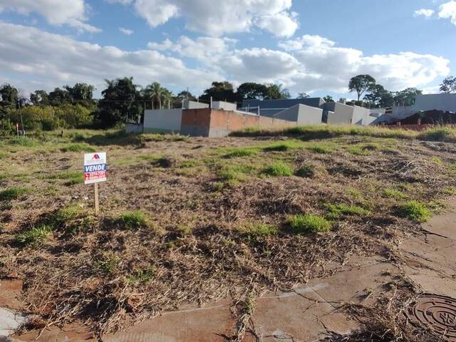 #525 - Terreno para Venda em Arapongas - PR - 1