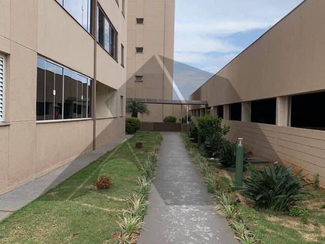 Apartamento para Locação em Arapongas - 4