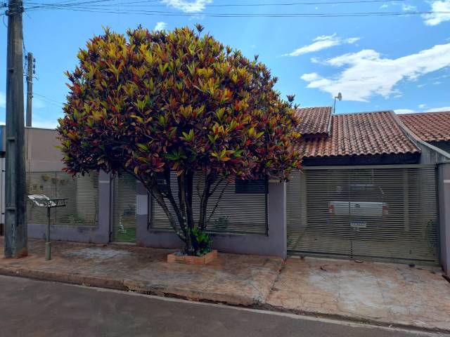 #573 - Casa para Locação em Arapongas - PR - 1